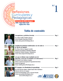 Cover of Reflexiones Curriculares y Pedagógicas